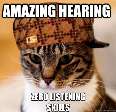 Amazing hearing Zero listening skills  Scumbag Cat