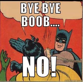BYE BYE BOOB.... NO! Slappin Batman