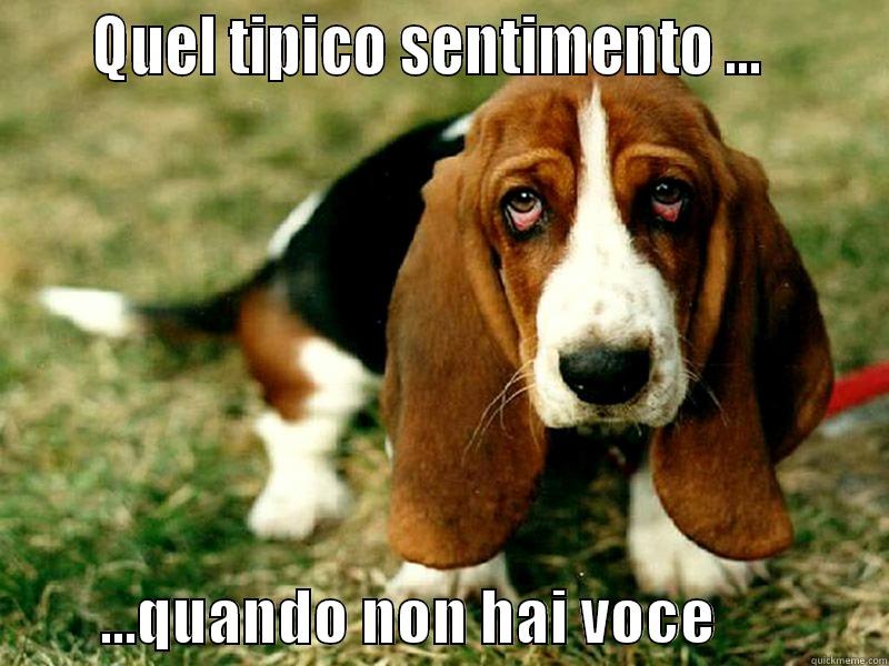     QUEL TIPICO SENTIMENTO ...                ...QUANDO NON HAI VOCE              Misc