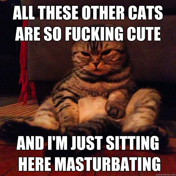 all these other cats
are so fucking cute and I'm just sitting
 here masturbating - all these other cats
are so fucking cute and I'm just sitting
 here masturbating  Masturbating Cat