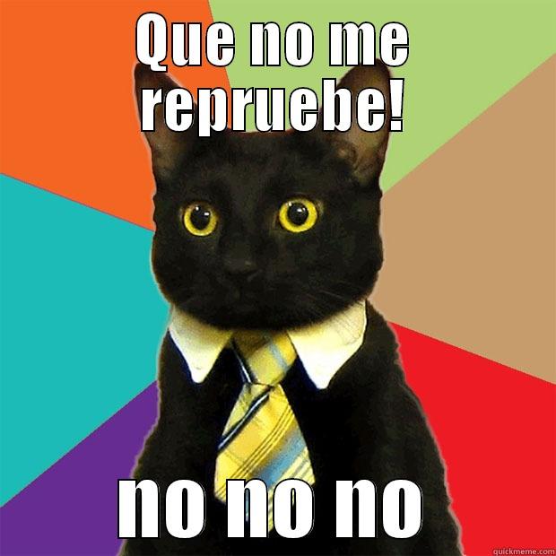 QUE NO ME REPRUEBE! NO NO NO Business Cat