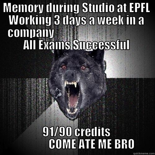 MEMORY DURING STUDIO AT EPFL WORKING 3 DAYS A WEEK IN A COMPANY                                           ALL EXAMS SUCCESSFUL 91/90 CREDITS               COME ATE ME BRO Insanity Wolf