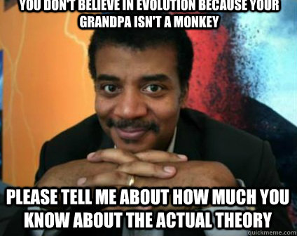 You don't believe in evolution because your grandpa isn't a monkey Please tell me about how much you know about the actual theory  Condescending Neil deGrasse Tyson