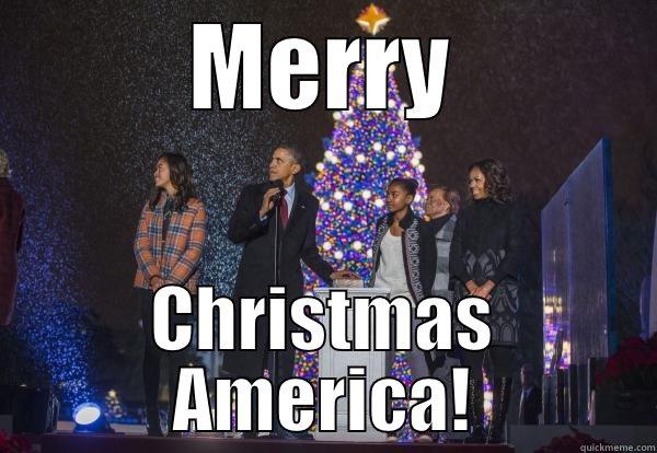MERRY CHRISTMAS AMERICA! Misc