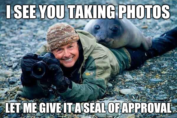 I see you taking photos  Let me give it a seal of approval  