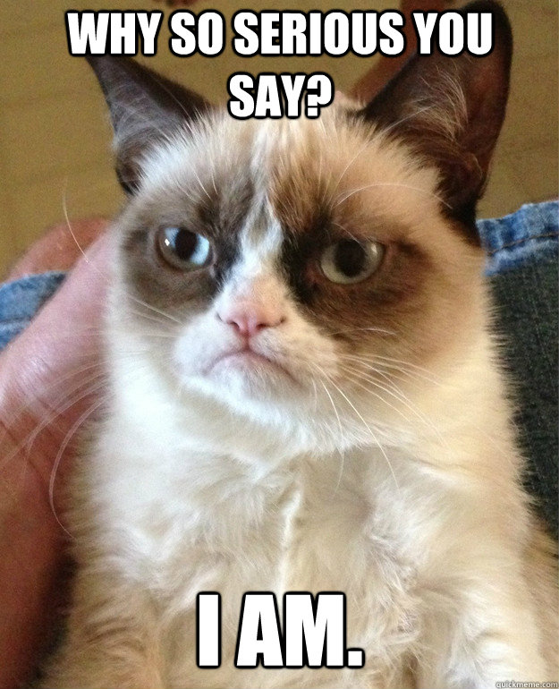 Why so serious you say? I am.  Grumpy Cat