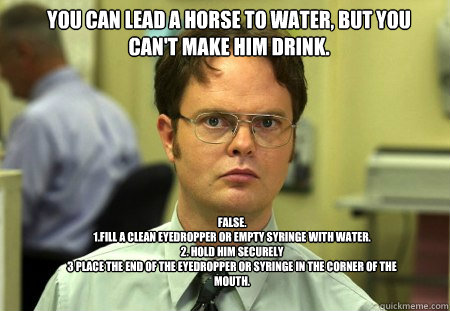 You can lead a horse to water, but you can't make him drink. FALSE.  
1.Fill a clean eyedropper or empty syringe with water.
2. Hold him securely
3 Place the end of the eyedropper or syringe in the corner of the mouth.
 - You can lead a horse to water, but you can't make him drink. FALSE.  
1.Fill a clean eyedropper or empty syringe with water.
2. Hold him securely
3 Place the end of the eyedropper or syringe in the corner of the mouth.
  Schrute