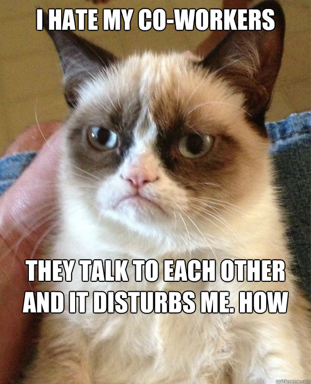 I Hate my Co-Workers They talk to each other and it disturbs me. How can I work under these conditions? - I Hate my Co-Workers They talk to each other and it disturbs me. How can I work under these conditions?  Misc