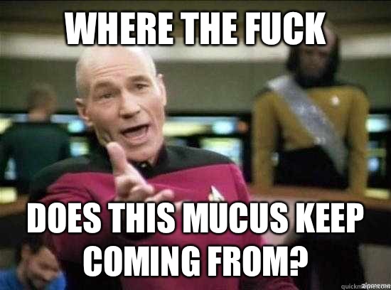 Where the fuck Does this mucus keep coming from?  Annoyed Picard HD
