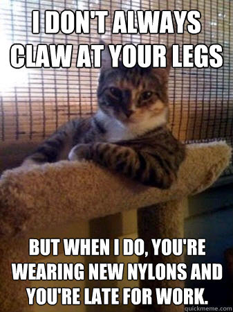 I don't always claw at your legs but when I do, you're wearing new nylons and you're late for work.  The Most Interesting Cat in the World