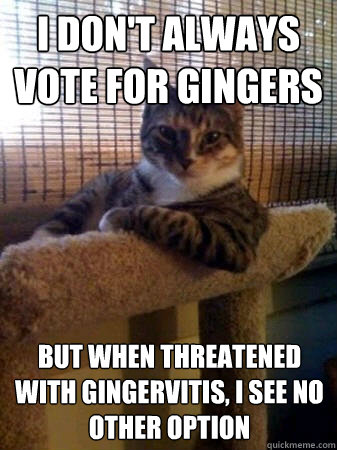 I don't always vote for gingers but when threatened with gingervitis, I see no other option  The Most Interesting Cat in the World