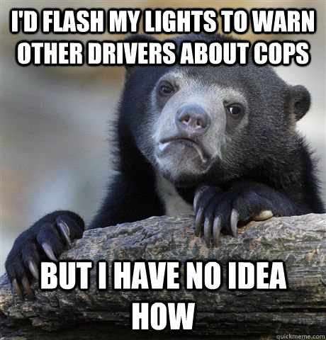I'd flash my lights to warn other drivers about cops but I have no idea how  Confession Bear