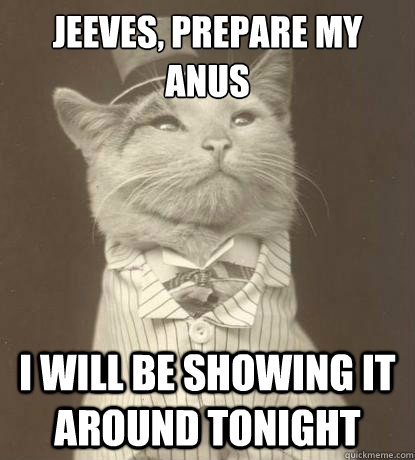 Jeeves, Prepare my anus i will be showing it around tonight  Aristocat