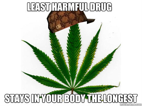 least harmful drug stays in your body the longest - least harmful drug stays in your body the longest  Scumbag Marijuana