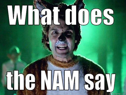 WHAT DOES THE NAM SAY Misc