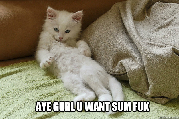 aye gurl u want sum fuk  cat aye gurl u want sum fuk