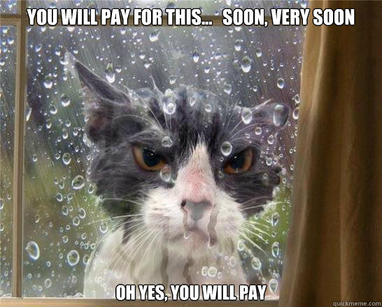 you will pay for this...   soon, very soon OH yes, you will pay - you will pay for this...   soon, very soon OH yes, you will pay  You will pay