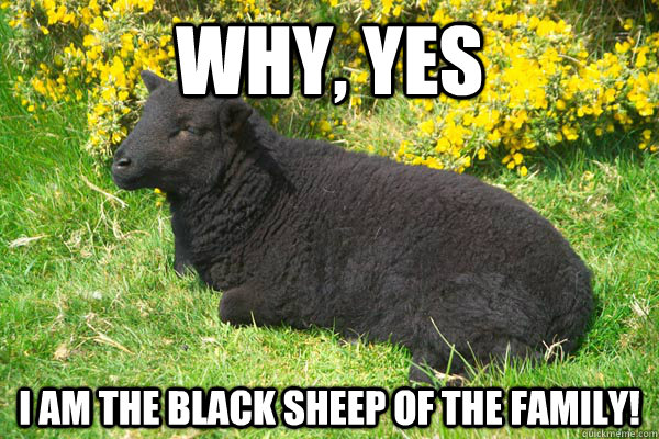 Why, Yes I am the black sheep of the family! - Why, Yes I am the black sheep of the family!  Misc