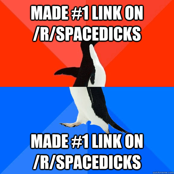 Made #1 link on /r/spacedicks Made #1 link on /r/spacedicks  Socially Awesome Awkward Penguin