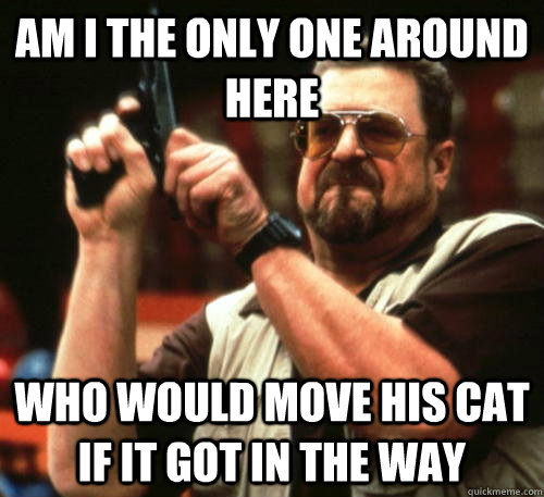 Am i the only one around here who would move his cat if it got in the way - Am i the only one around here who would move his cat if it got in the way  Am I The Only One Around Here