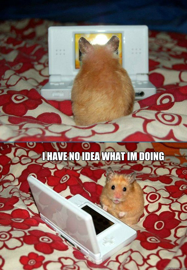  I have no Idea what im doing  bad computer hamster
