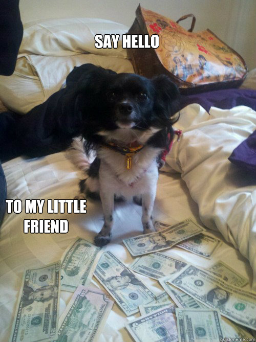 Say hello to my little friend  cute animal dog money meme