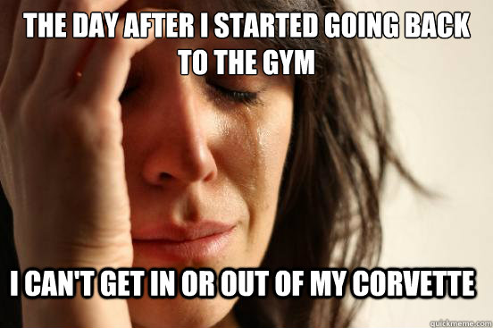 the day after i started going back to the gym i can't get in or out of my corvette  - the day after i started going back to the gym i can't get in or out of my corvette   First World Problems