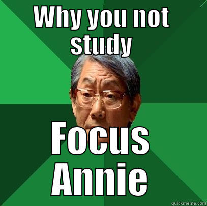 WHY YOU NOT STUDY FOCUS ANNIE High Expectations Asian Father