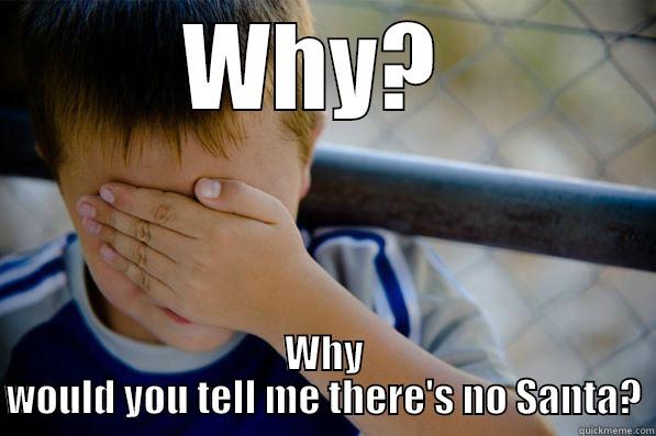 WHY?  WHY WOULD YOU TELL ME THERE'S NO SANTA? Confession kid