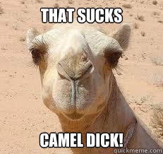 THAT SUCKS CAMEL DICK!  