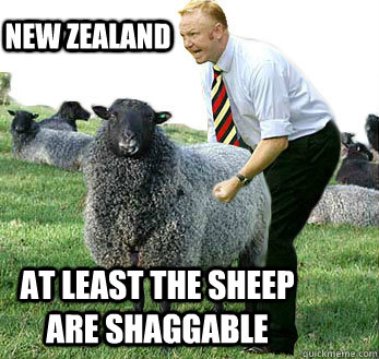 new zealand at least the sheep are shaggable  - new zealand at least the sheep are shaggable   new zealand sheep