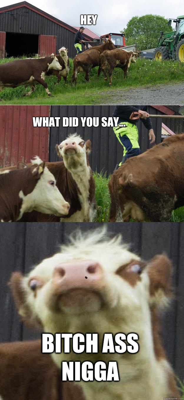 Hey BItch ass nigga What did you say...  - Hey BItch ass nigga What did you say...   Derp Cow