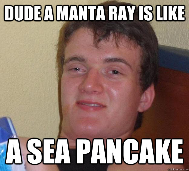 Dude a Manta Ray is like A sea pancake  10 Guy
