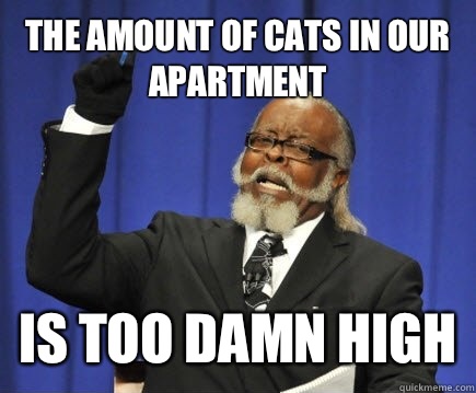 The amount of cats in our apartment Is too damn high  Too Damn High