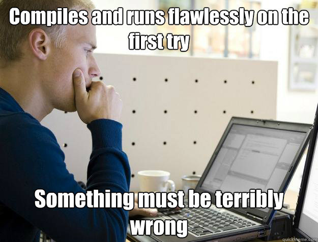 Compiles and runs flawlessly on the first try Something must be terribly wrong  Programmer