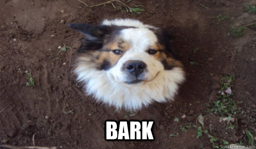 BARK - BARK  Tree Dog
