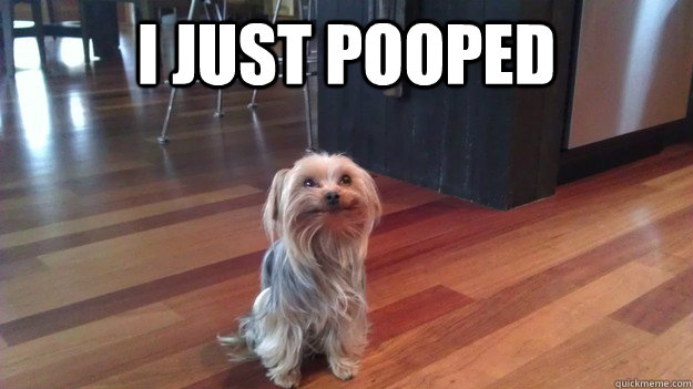 I just pooped  - I just pooped   Misc
