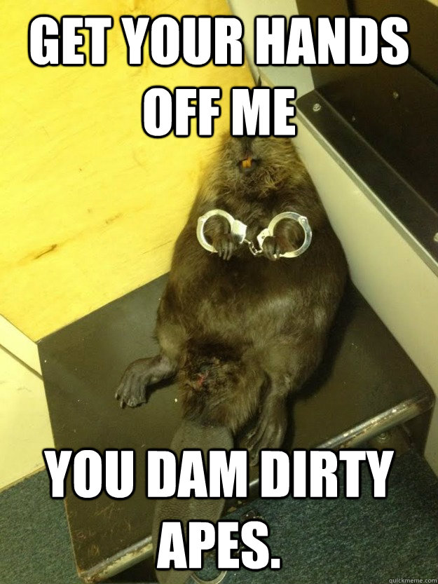 Get your hands off me you dam dirty apes. - Get your hands off me you dam dirty apes.  Drunk Beaver
