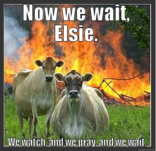 NOW WE WAIT, ELSIE. WE WATCH, AND WE PRAY, AND WE WAIT. Evil cows