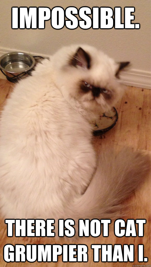 Impossible. There is not cat grumpier than I. - Impossible. There is not cat grumpier than I.  Misc