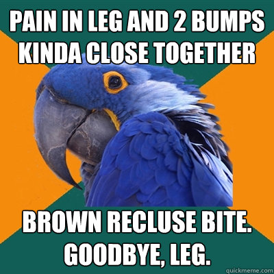 Pain in leg and 2 bumps kinda close together brown recluse bite. goodbye, leg.  Paranoid Parrot