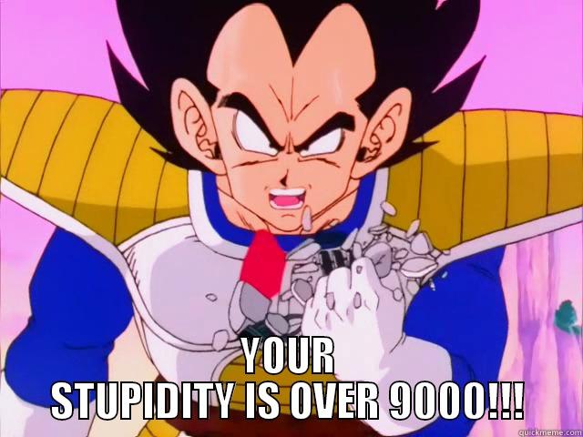 Stupidity Over 9000 -  YOUR STUPIDITY IS OVER 9000!!! Misc