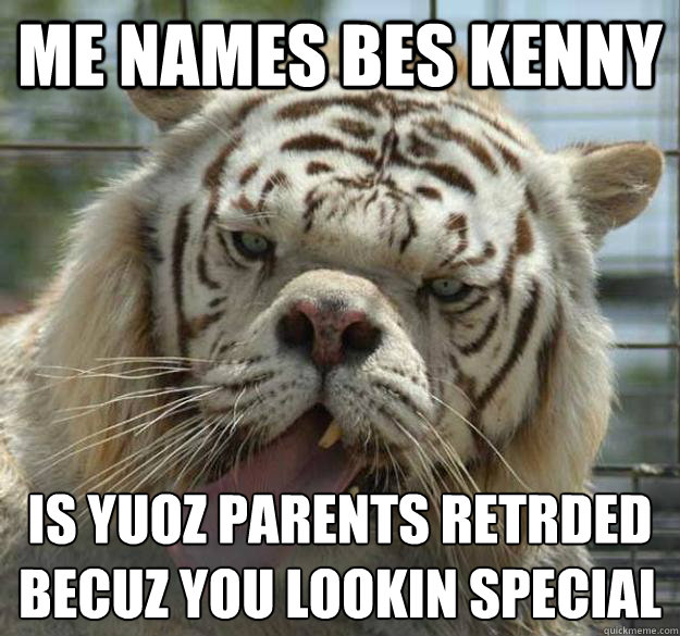 me names bes kenny  is yuoz parents retrded becuz you lookin special - me names bes kenny  is yuoz parents retrded becuz you lookin special  Kenny the Retarded Tiger