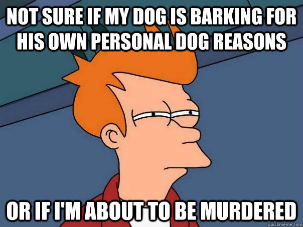 Not sure if my dog is barking for his own personal dog reasons Or if I'm about to be murdered - Not sure if my dog is barking for his own personal dog reasons Or if I'm about to be murdered  Futurama Fry