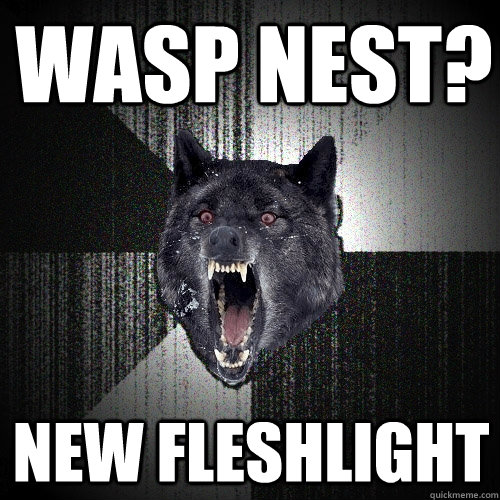 Wasp nest? New fleshlight  Insanity Wolf