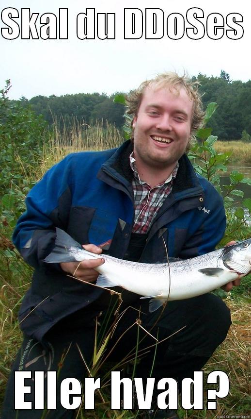 SKAL DU DDOSES  ELLER HVAD? Misc