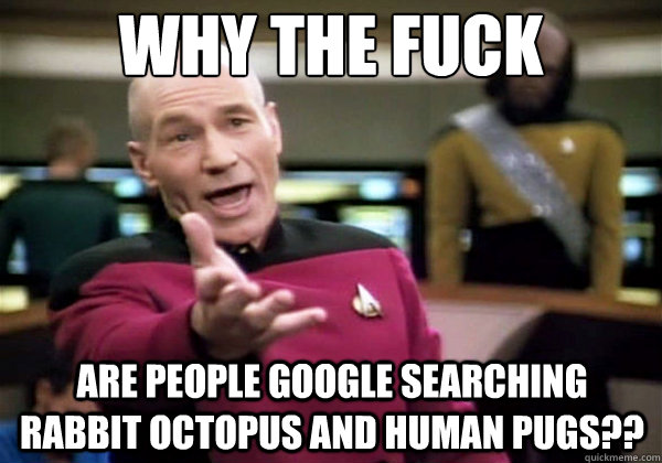 Why the fuck are people google searching rabbit octopus and human pugs??  Why The Fuck Picard