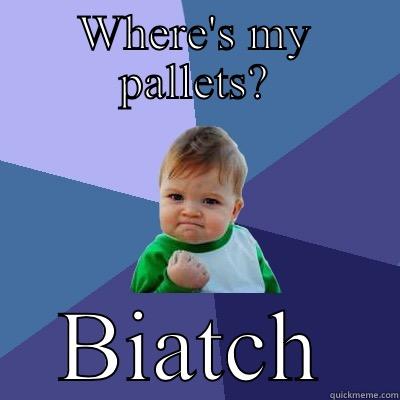 Looking for something  - WHERE'S MY PALLETS? BIATCH  Success Kid