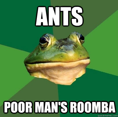 Ants Poor man's roomba  Foul Bachelor Frog
