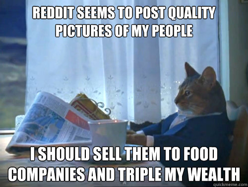 Reddit seems to post quality pictures of my people I should sell them to food companies and triple my wealth  The One Percent Cat